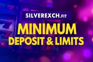 Silverexch Deposit Failed guide